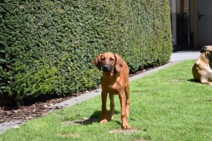 12D569B6-9760-42BF-ACB8-F5DC21F79A3C