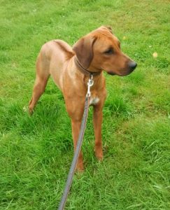 2013-09-11_09.48.59-1