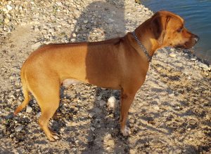 20181022_192503_resized