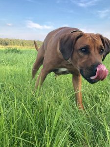 45A38C83-E98B-470B-A80A-6DB5E3CC213A