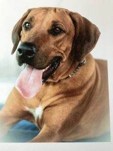 4F1CD393-A750-4E91-8598-051A8BBEB302