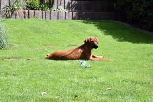 4FBE5597-3ADC-4AE2-84A9-7873344B69A1