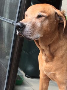 6E5151A5-2ECF-47C6-9506-CB71BA5CA4B2