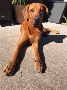 7278609F-F40E-4852-AF2F-39A3CF88FBC6