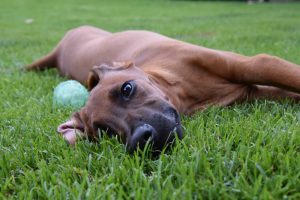 8DFFA842-4485-41CF-B4C4-C03171CC28C8