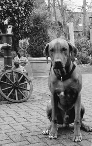 BA0FEF7F-ABDB-4898-A0E0-7B24F5BF3B80