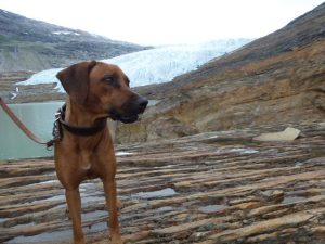 Gletscherwanderung-in-Norwegen