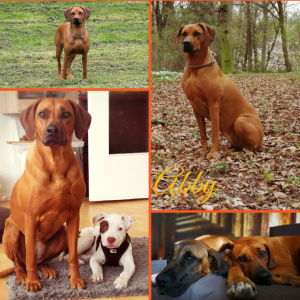 IMG_20180108_220955_0