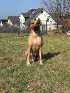 Maxi_und_CTC_03-2014_072