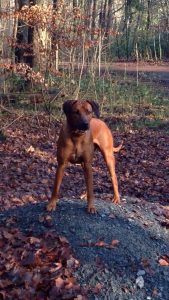 Nelson_2015_IMG_7133