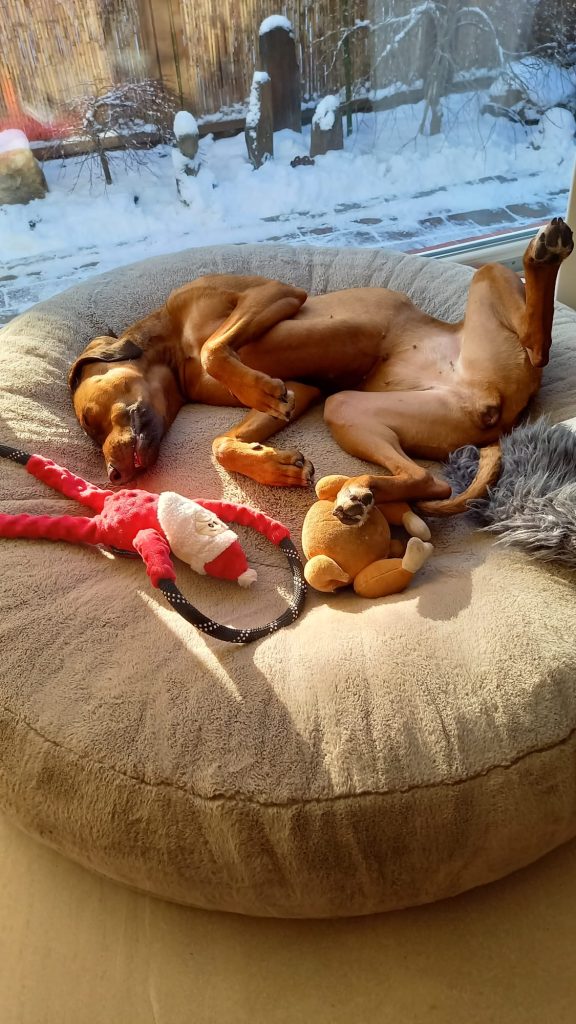 1189afdd-ecf8-45da-8a5f-879ec7a06c95