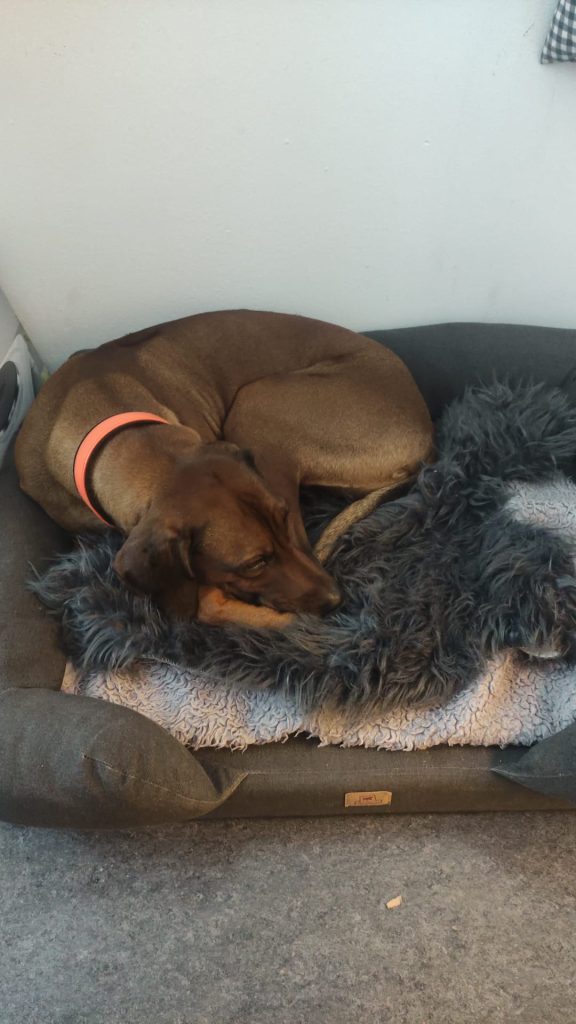 78b0ac39-5013-4e5a-bf37-4e723a93b164