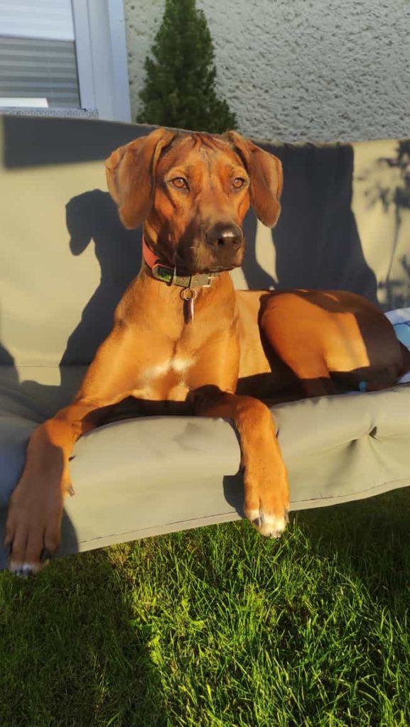 b01b114e-5639-4b14-bf30-75d4dd19cd97