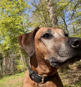 0B967F7C-8CEE-401B-AC59-C8F4CE3FCDDA