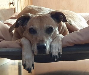 20240627_162832wpuGvRG