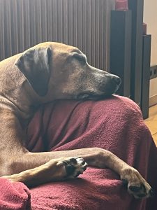 2B1D704D-1943-4033-ABFE-7A80F217E773