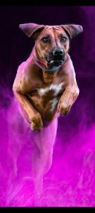 Screenshot_2025-01-04-09-02-00-25_92460851df6f172a4592fca41cc2d2e6