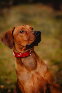 3ca35f74-c081-483f-a0c0-44ab0adbeaf3