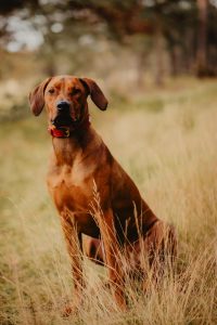 5cedca8a-7e1b-42c5-904a-daae4d0013ef